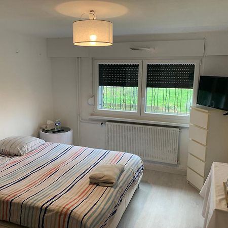 Chambre A Hoenheim A 10 Min De Strasbourg Une Chambre Cosy Eksteriør billede